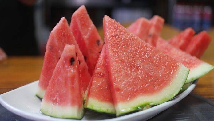 Top 10 Watermelon Seed Suppliers & Breeding Innovators