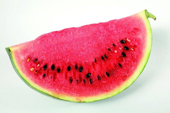 Top 10 Watermelon Supply Chain Innovations & Key Companies