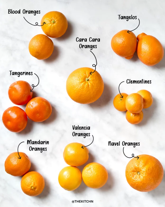 Types-Of-oranges