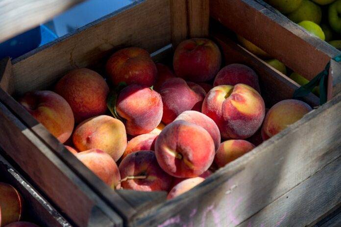 From Farm to Canned & Dried Goods The Business of Processed Peach Products