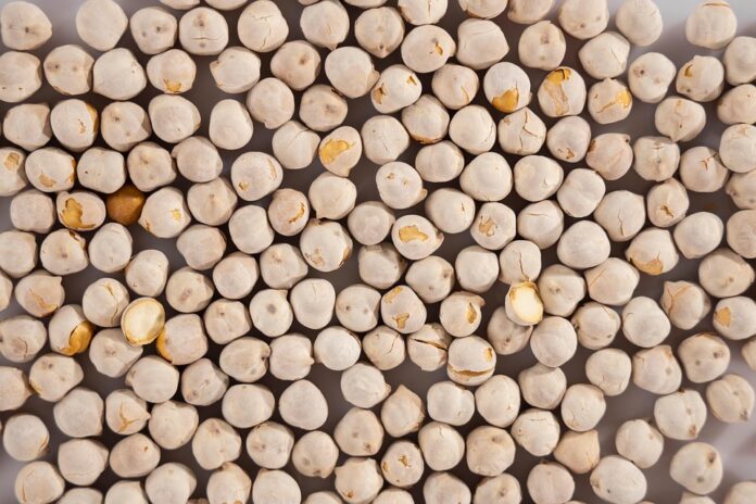 From Farm to Grocery Aisle The Business of Processed and Value Added Chickpea Products