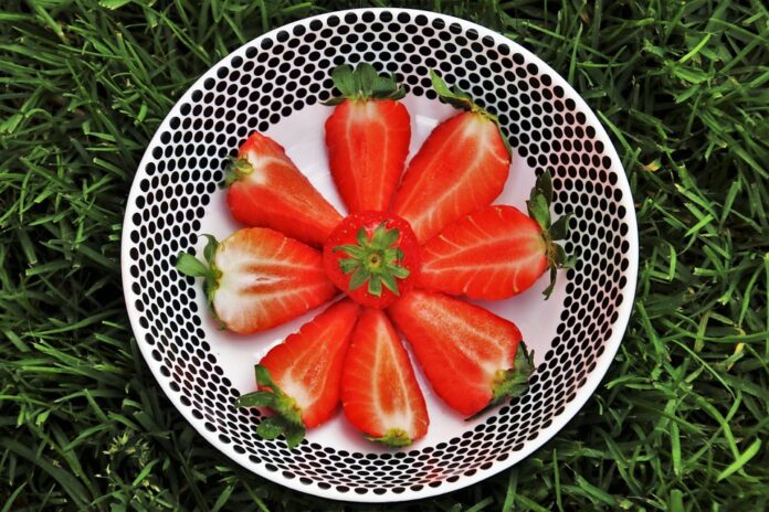 Air dried and freeze dried veggie snacks are redefining guilt free snacking