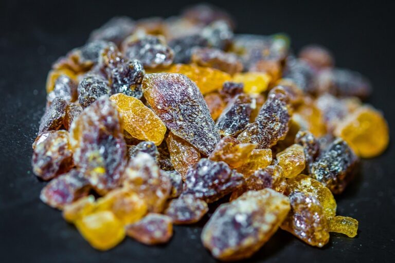 Alternative Sweetening Methods and Their Market Adoption Alternative Sweetening Methods and Their Market Adoption