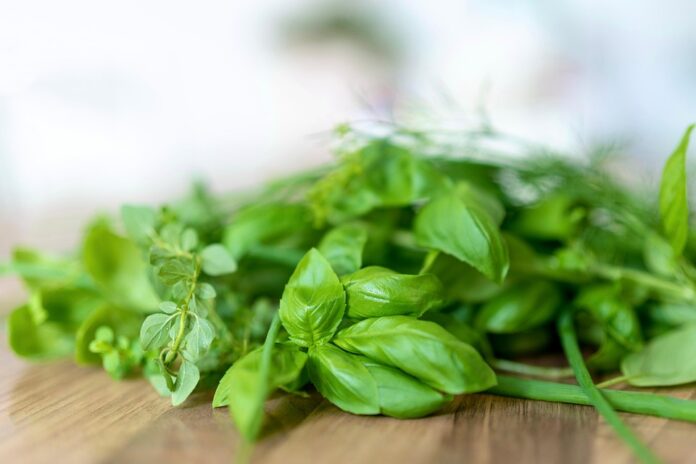 Basil and Inflation Why Prices Are Rising and What It Means for Consumers
