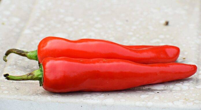 Blockchain & AI in the Chili Supply Chain The Future of Traceability & Transparency