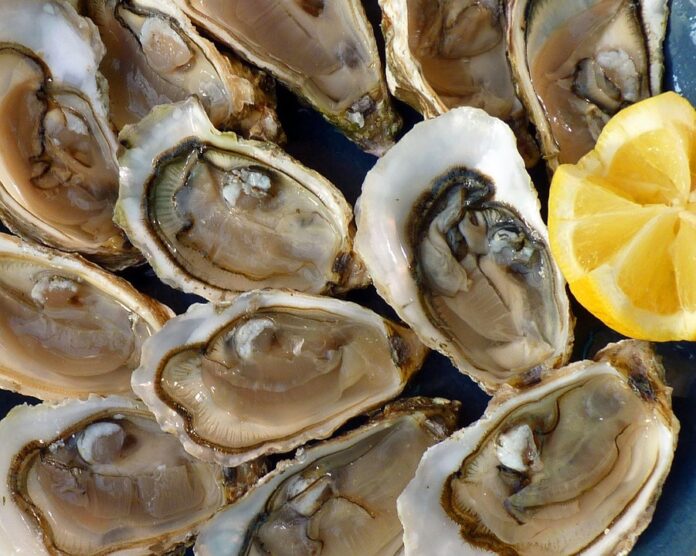 Blockchain & AI in the Oyster Supply Chain The Future of Traceability & Transparency