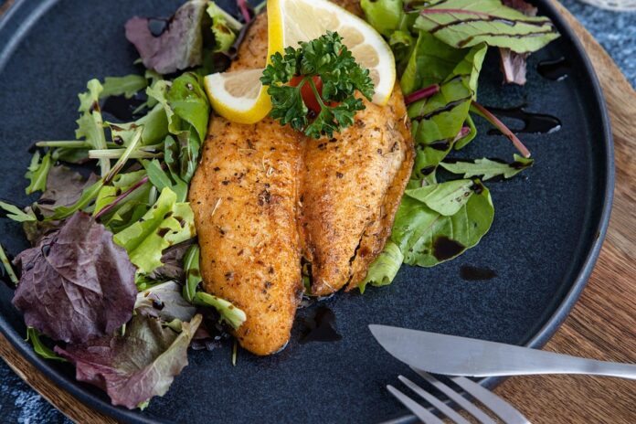 Blockchain & AI in the Pangasius Supply Chain The Future of Traceability & Transparency