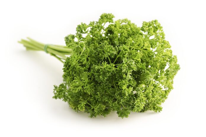 Blockchain and AI in the Parsley Supply Chain The Future of Traceability and Transparency