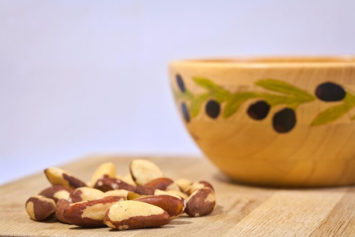 Brazil Nuts Production Trade and Consumption A 360° Industry Report