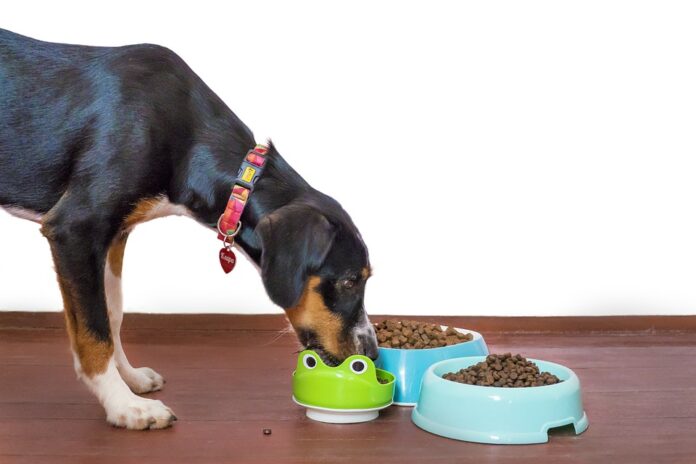 Breed and size specific kibbles offer personalized feeding solutions