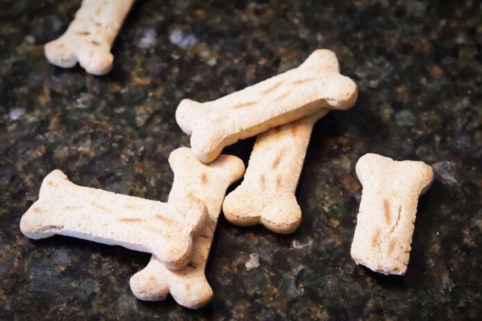 Cat treats evolve with new textures flavors and dental benefits
