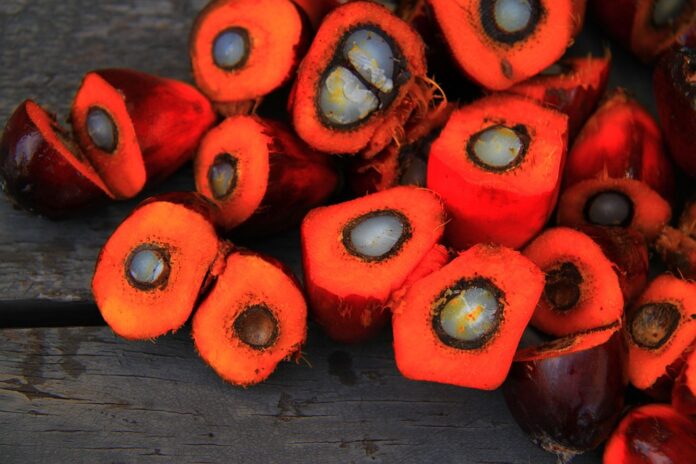 Certified sustainable palm oil is gaining traction in global markets
