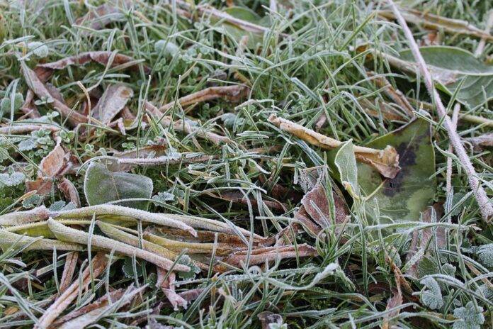Challenges in scaling up freeze drying for bulk production