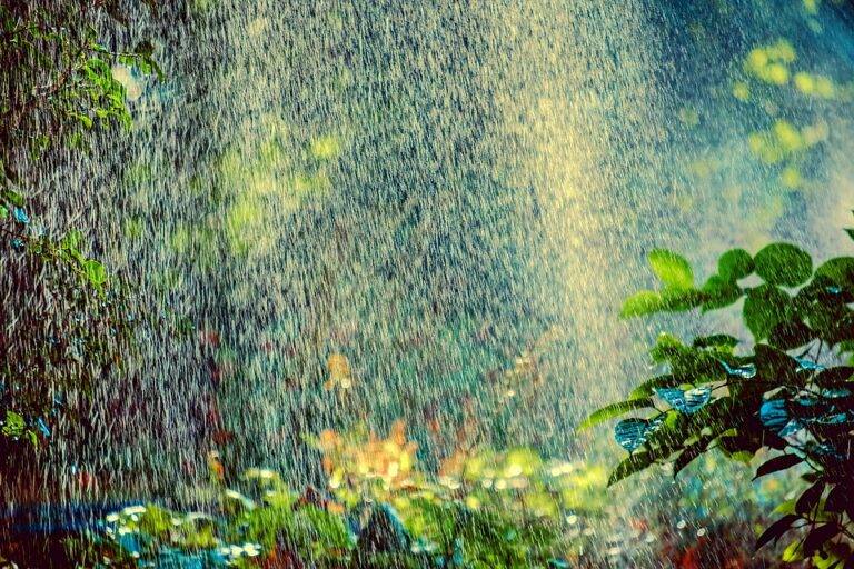 Choosing between rotary impact and mist sprinkler heads Choosing between rotary impact and mist sprinkler heads