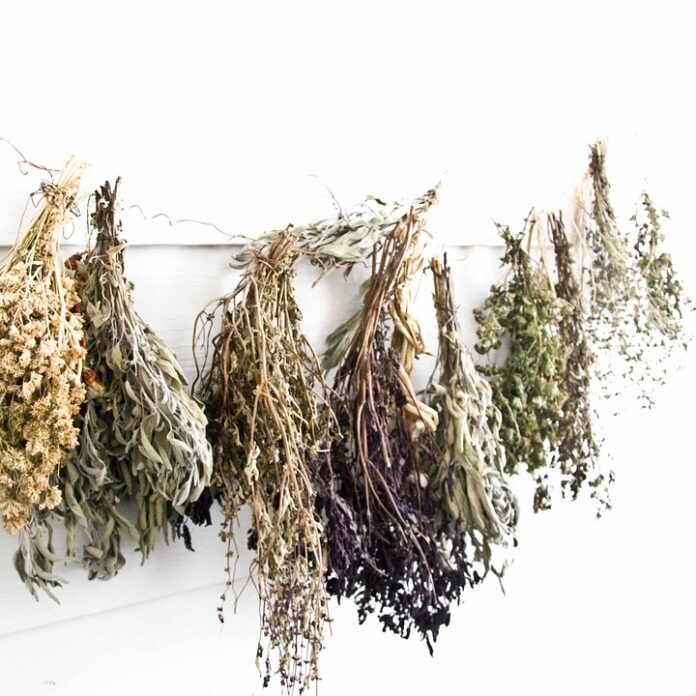 Clean label spice blends emphasize freeze dried freshness and potency