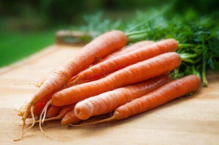 Climate Change and Carrot Farming Challenges and Adaptation Strategies