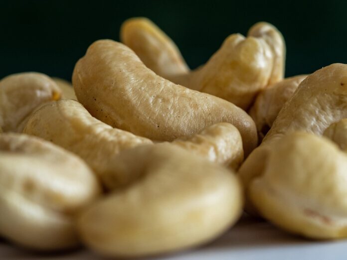 Climate Change and Cashews Farming Challenges and Adaptation Strategies