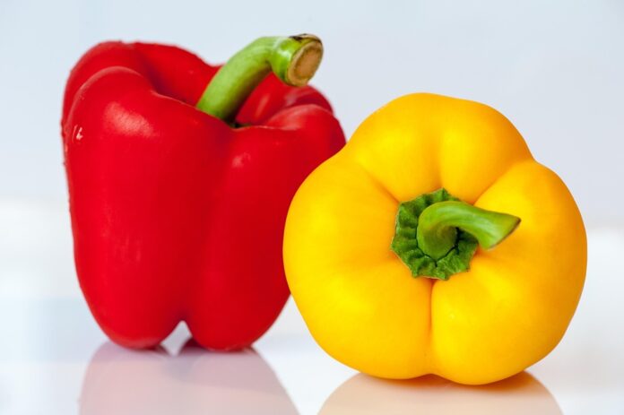 Climate Change and Paprika Farming Challenges and Adaptation Strategies