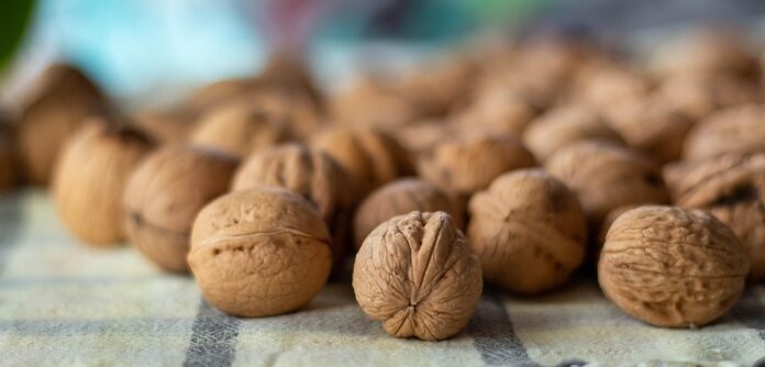 Climate Change and Walnuts Farming Challenges and Adaptation Strategies