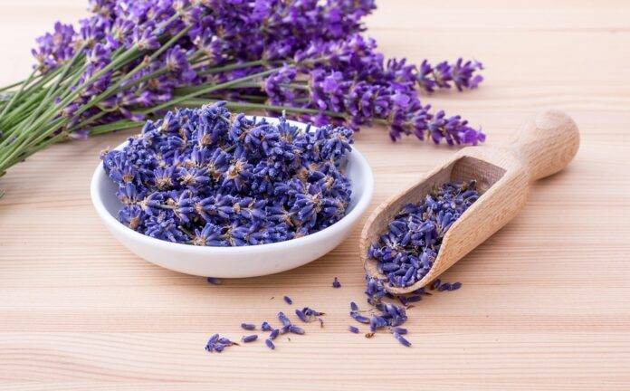 Cold pressed food oils used in luxury spa oil treatments
