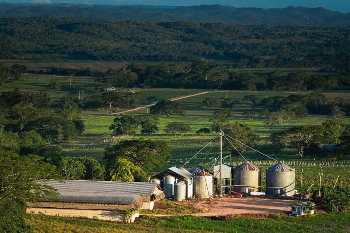 Compact silo solutions for smallholder and co-op farms