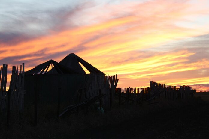 Cost and ROI of on farm grain bin investments