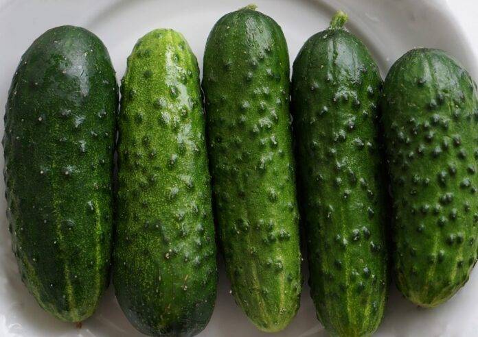 Cucumbers & Inflation Why Prices Are Rising and What It Means for Consumers