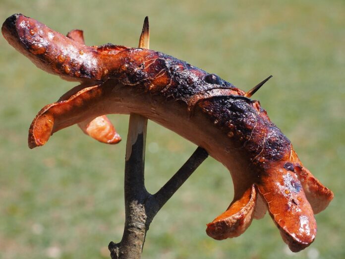 Cultural Heritage and Popularity of Bratwurst Worldwide