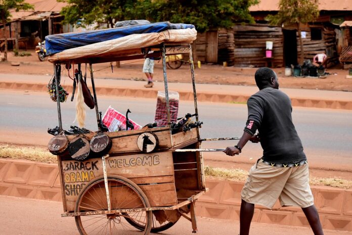 Economic Factors Influencing Street Vendor Profitability: Inflation and Pricing Strategies