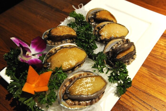 Export Restrictions and Their Impact on the Global Abalone Market Key Developments