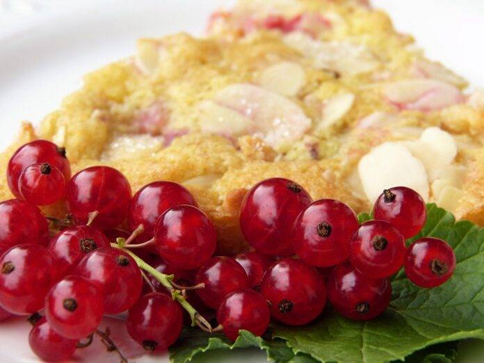 Export markets for fructose syrup and powders expand in developing regions