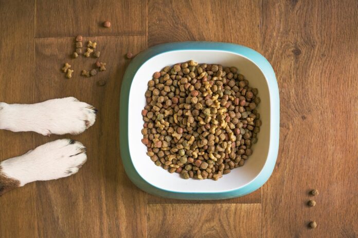 Export opportunities increase for dog food in emerging international markets