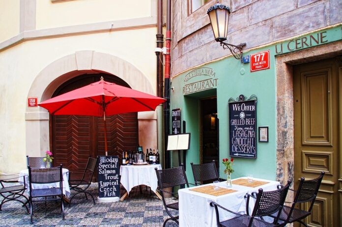 Financial Performance Review: Annual Reports of Leading Bistro Chains