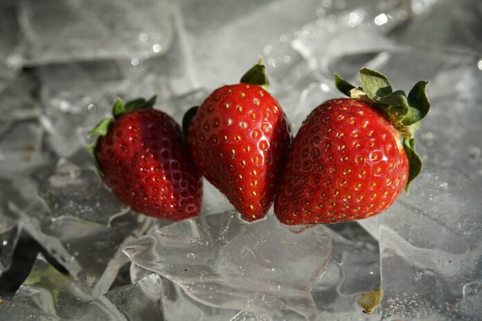 Financial performance review annual reports of leading frozen food store chains