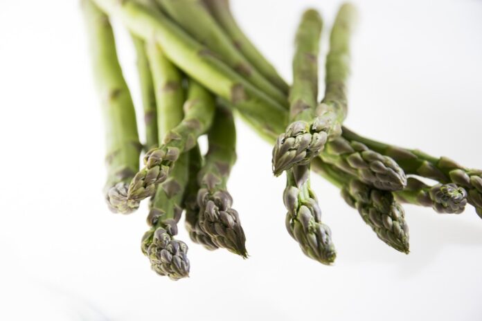 Flexitarian diets increase demand for versatile vegetarian products