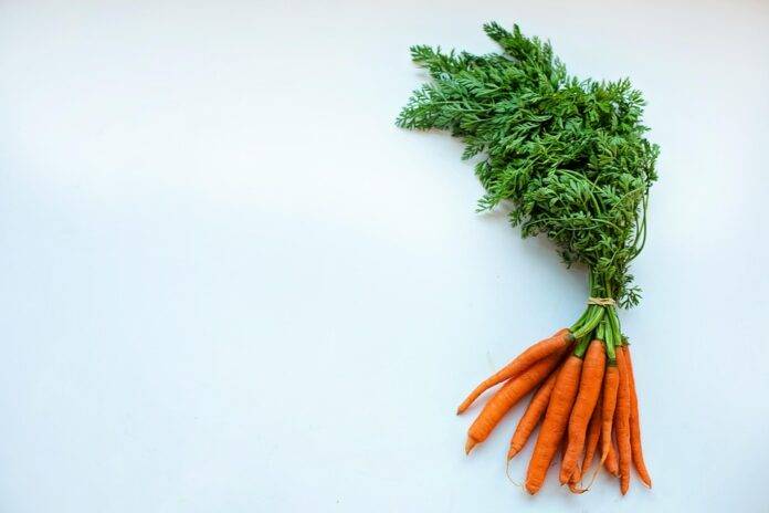 From Farm to Baby Carrots The Business of Processed Carrot Products
