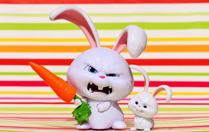 From Farm to Gourmet Cuts The Business of Processed Rabbit Meat Products