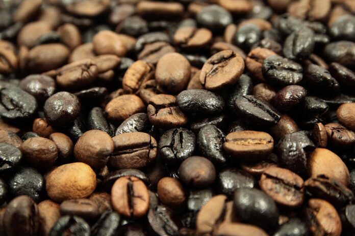 From Farm to Grocery Aisle The Business of Processed and Value Added Bean Products