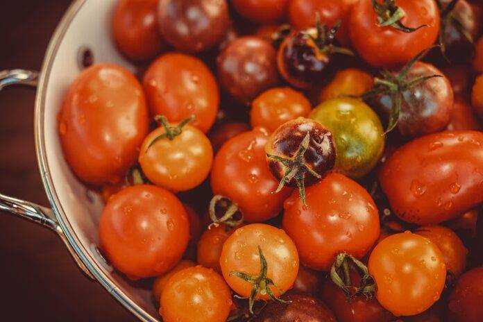 From Farm to Ketchup The Business of Processed Tomato Products