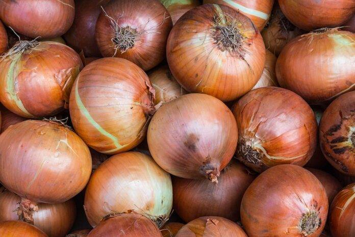 From Farm to Onion Rings The Business of Processed Onion Products