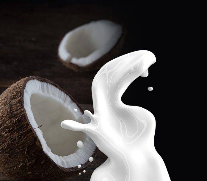 From Plantation to Processing The Full Supply Chain Behind Coconut Milk