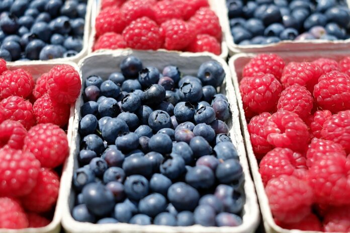 Fruit subscription boxes use minimal protective packaging systems