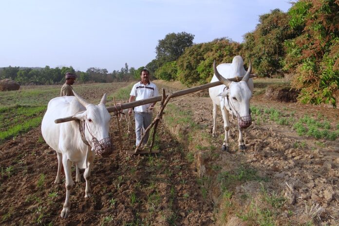Future innovations in plough and harrow technology for smart farming