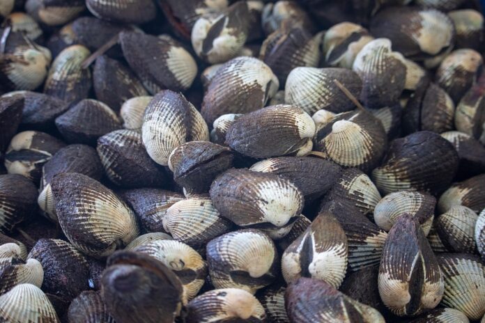 Future of seafood market formats adapting to changing consumer preferences