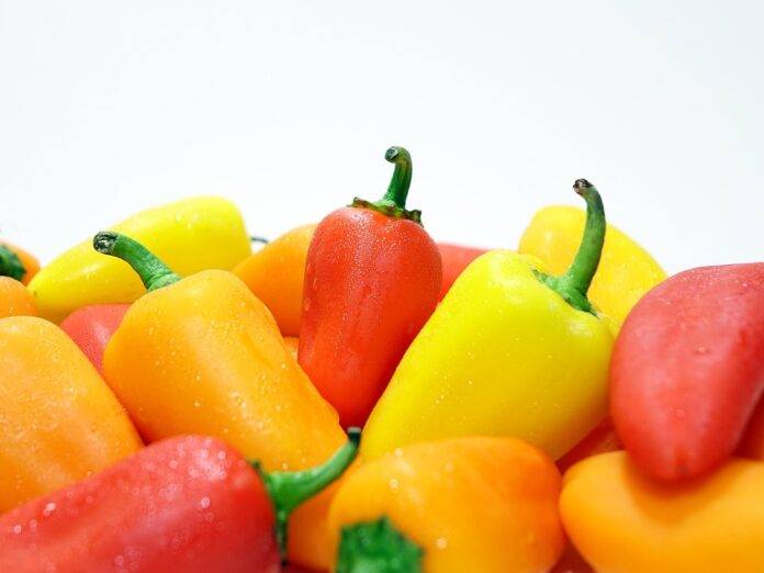 Future of the Pepper Industry Predictions for the Next Decade