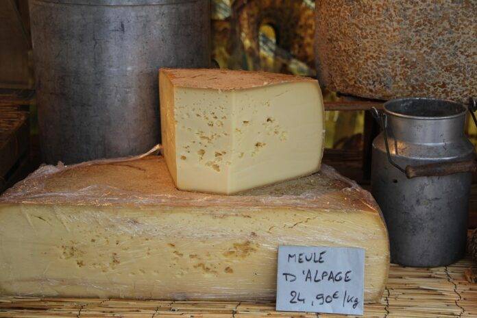 Global Market Trends and Forecasts for the Gouda Segment