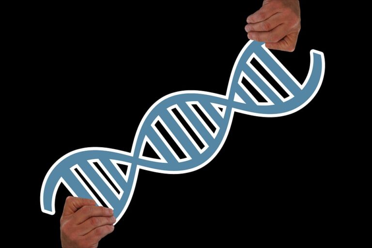 Global amino acid market demand increases across health and pharma sectors Global amino acid market demand increases across health and pharma sectors
