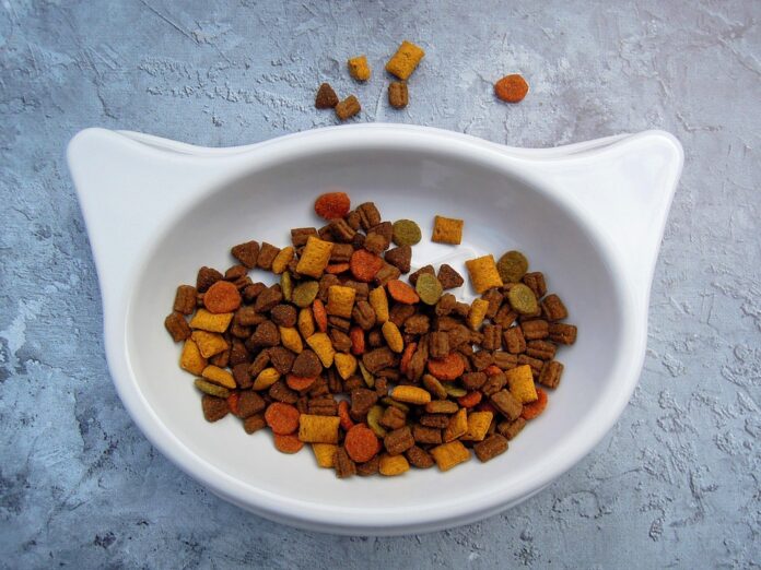 Global cat food industry trends transforming feline nutrition and product development