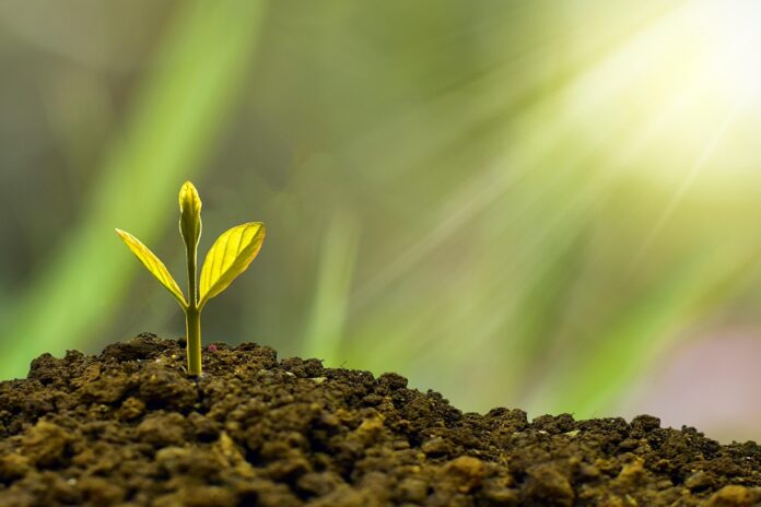 Green building technologies for warehouses and agri plants