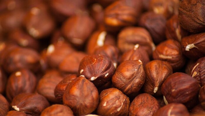 Hazelnuts Production Trade and Consumption A 360° Industry Report